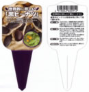 ���s�[�i�c