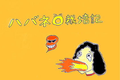 �n�o�l���͔|�L�@�g�b�v