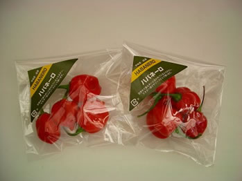 �n�o�l���J���r�A�����b�h�摜